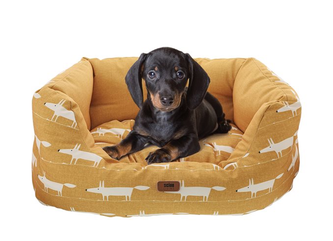 Mr Fox Pet Bed Chai - Small